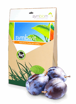 Symbivit śliwki