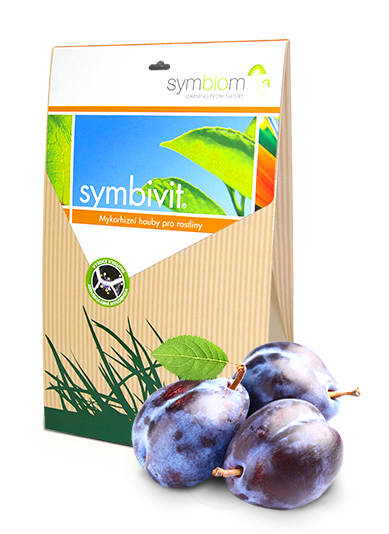 Symbivit śliwki