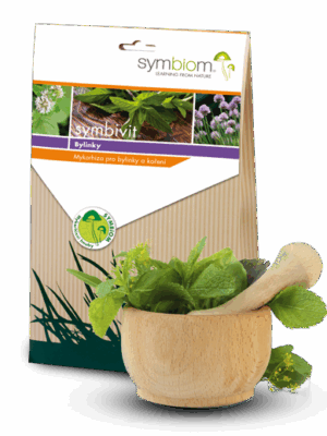 Symbivit zioła