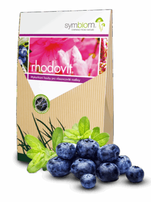 RHODOVIT borówki