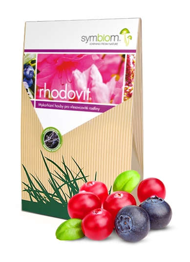 RHODOVIT żurawina