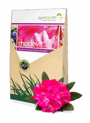 RHODOVIT rododendrony i wrzosy