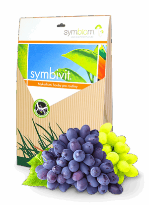 Symbivit Winnice