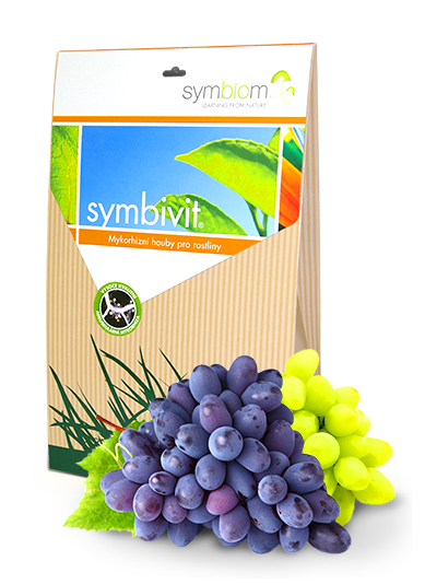 Symbivit Winnice