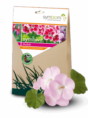 Symbivit kwiaty