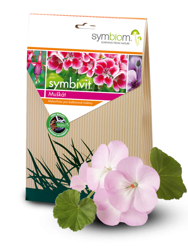 Symbivit kwiaty