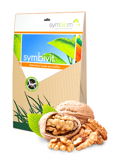 Symbivit orzech włoski