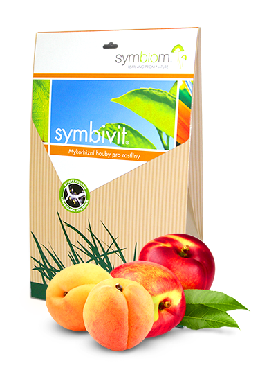 Symbivit brzoskwinie i morele
