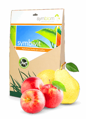 Symbivit jabłoń
