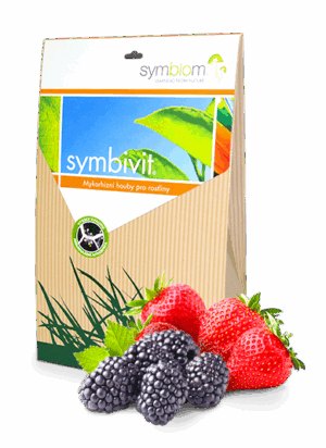 Symbivit jagodowe