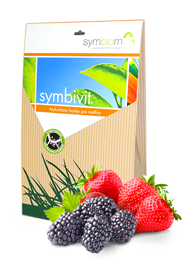 Symbivit jagodowe